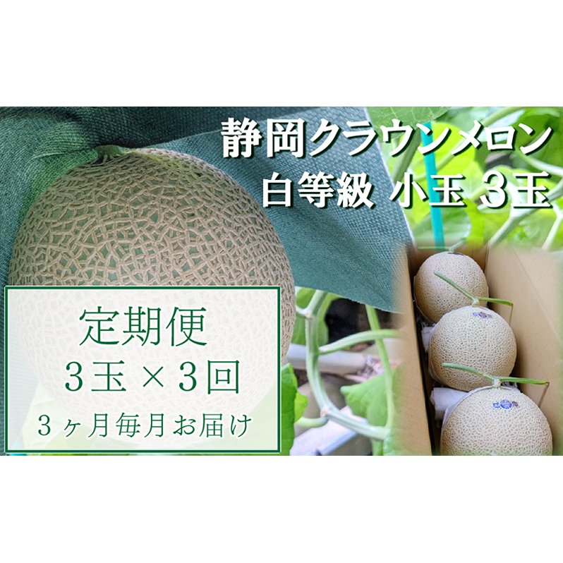 【3か月定期便】クラウンメロン【並(白等級)】小玉(1.1kg前後)3玉入り 果物 メロン青肉 フルーツ デザート 高級メロンブランド 高級メロン ブランドメロン 静岡県袋井市90000果物・フルーツメ