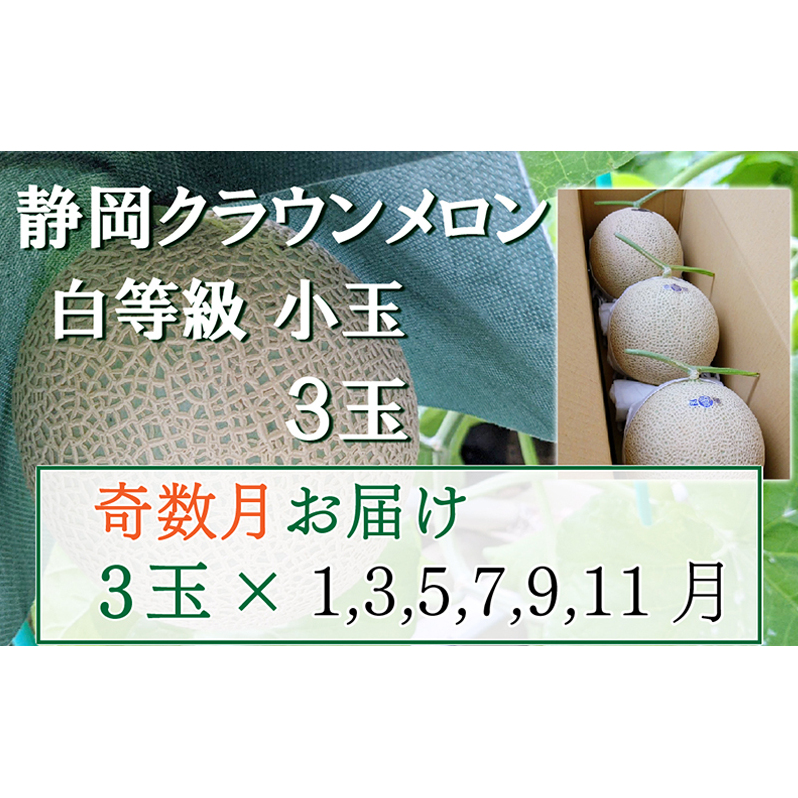 【奇数定期便】クラウンメロン【並(白等級)】小玉(1.1kg前後)3玉入り 果物 メロン青肉 フルーツ デザート 高級メロンブランド 高級メロン ブランドメロン 静岡県袋井市180000果物・フルーツメ