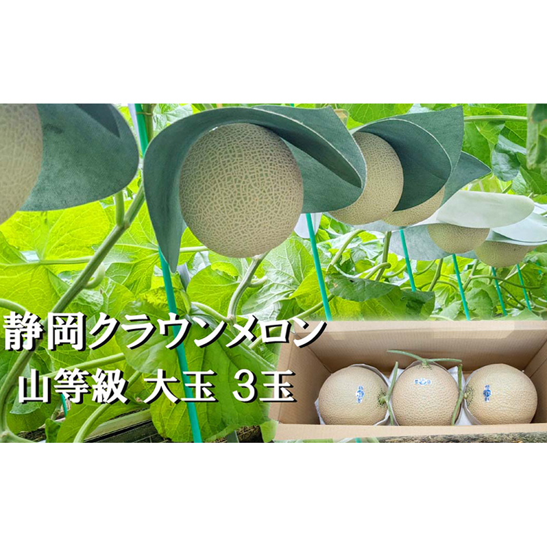 クラウンメロン山等級1.4kg前後 3玉入り 果物 メロン青肉 フルーツ デザート 高級メロンブランド 高級メロン ブランドメロン 静岡県袋井市95000果物・フルーツメロン・スイカ