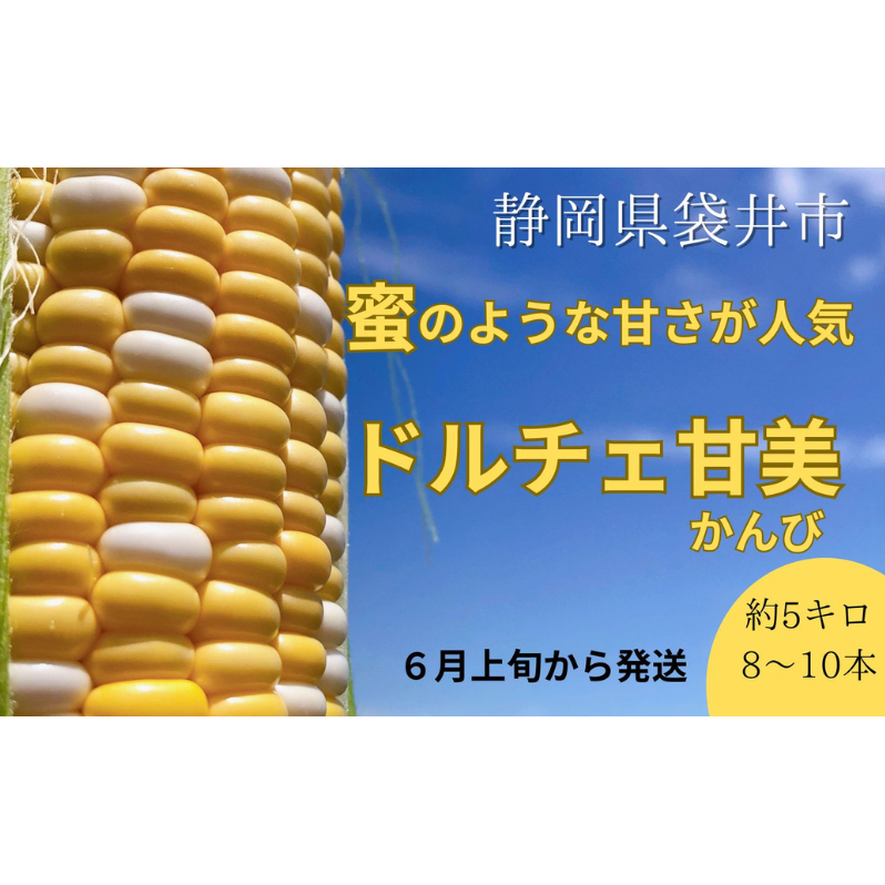 【 先行予約 】リピーター続出! とうもろこし 【 ドルチェ甘美 】約5kg 8〜10本 トウモロコシ 甘い 野菜 採れたて 朝採り 農家直送 袋井市 静岡県静岡県袋井市15000野菜・きのことうもろこし