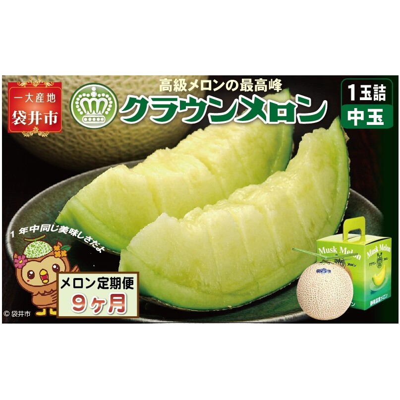 【9ヶ月定期便】クラウンメロン(白等級)中玉 1玉入  果物 フルーツ デザート メロン マスクメロン 青肉 高級 ギフト 贈り物 静岡県産 袋井市静岡県袋井市142000果物・フルーツメロン・