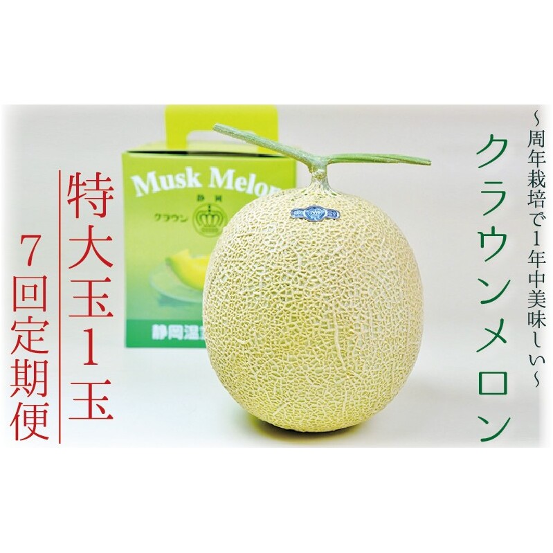 【7ヶ月定期便】クラウンメロン(白等級)特大玉 1玉入  果物 フルーツ デザート メロン マスクメロン 青肉 高級 ギフト 贈り物 静岡県産 袋井市静岡県袋井市131000果物・フルーツメロン