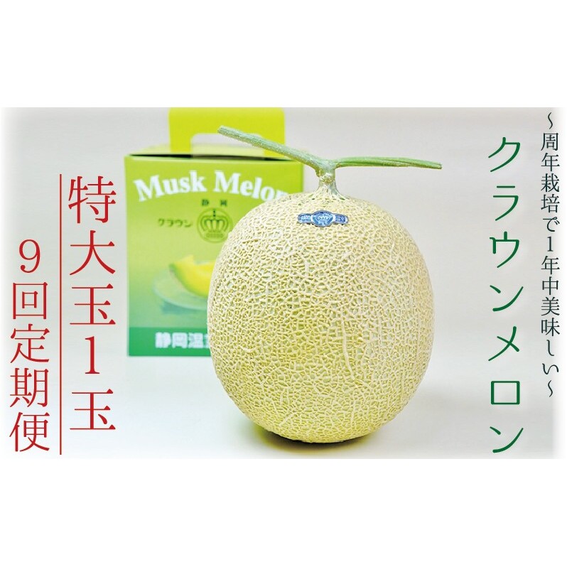 【9ヶ月定期便】クラウンメロン(白等級)特大玉 1玉入  果物 フルーツ デザート メロン マスクメロン 青肉 高級 ギフト 贈り物 静岡県産 袋井市静岡県袋井市168000果物・フルーツメロン