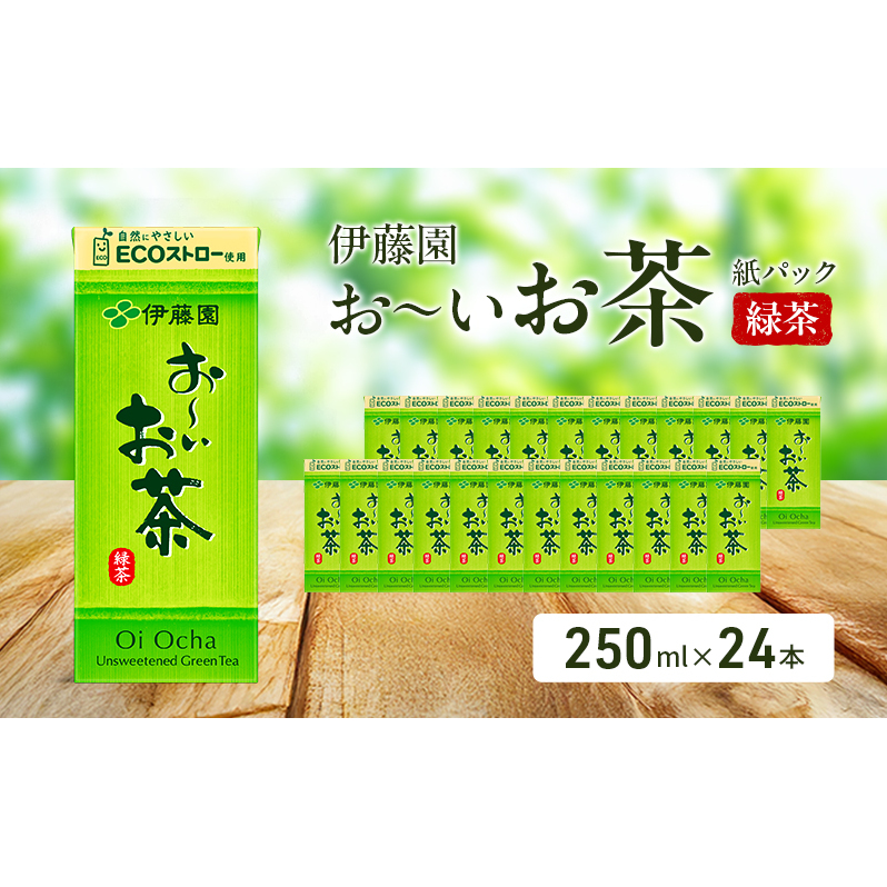 お〜いお茶 緑茶 紙パック 250ml×24本 お茶 飲み物 飲料 国産茶葉 伊藤園 静岡県 袋井市静岡県袋井市8000お茶・飲料お茶