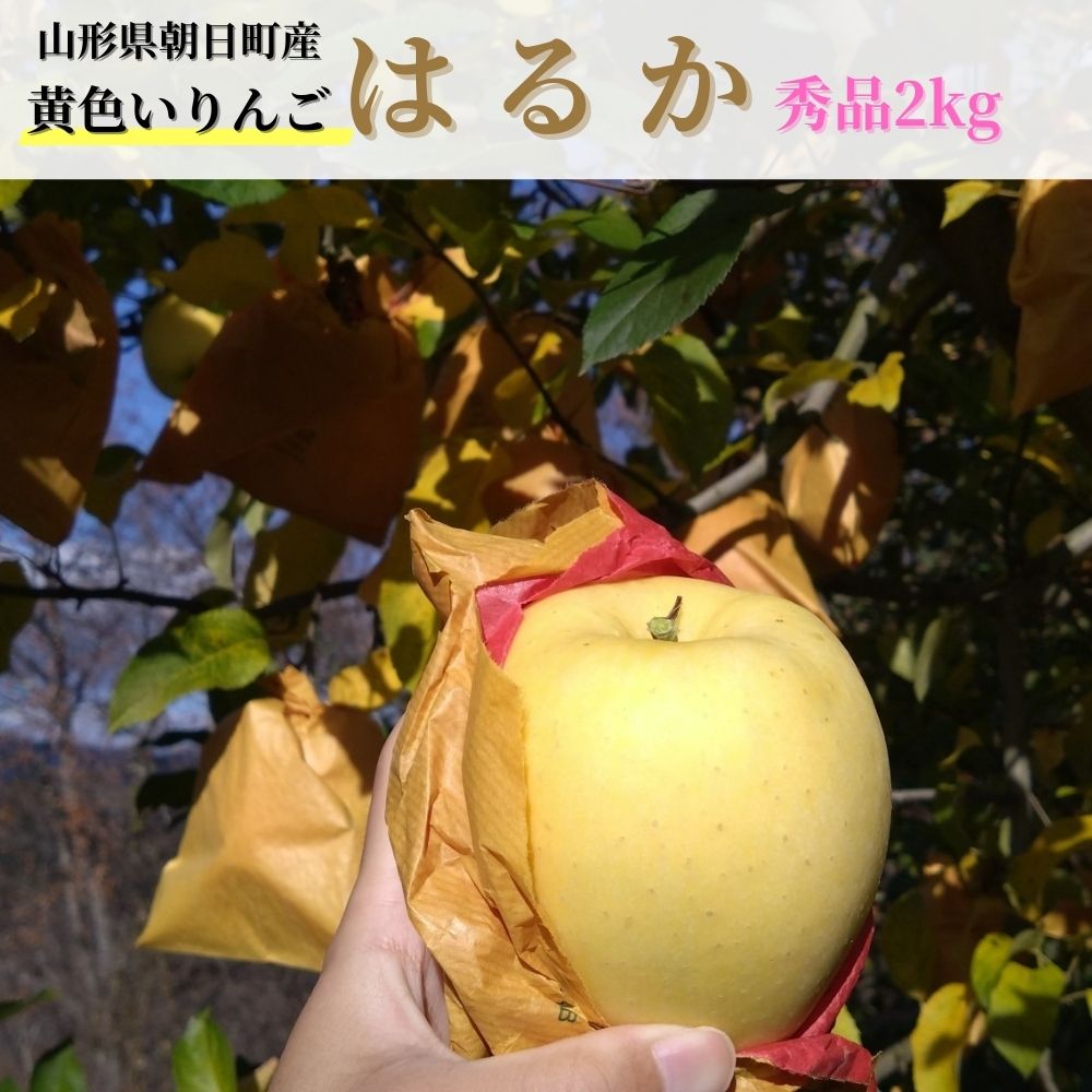  ͂邩 Gi 2kg y11{甭z R` Y R`Y Y ʕ t[c S ь H ~ s\R`13000ʕEt[c