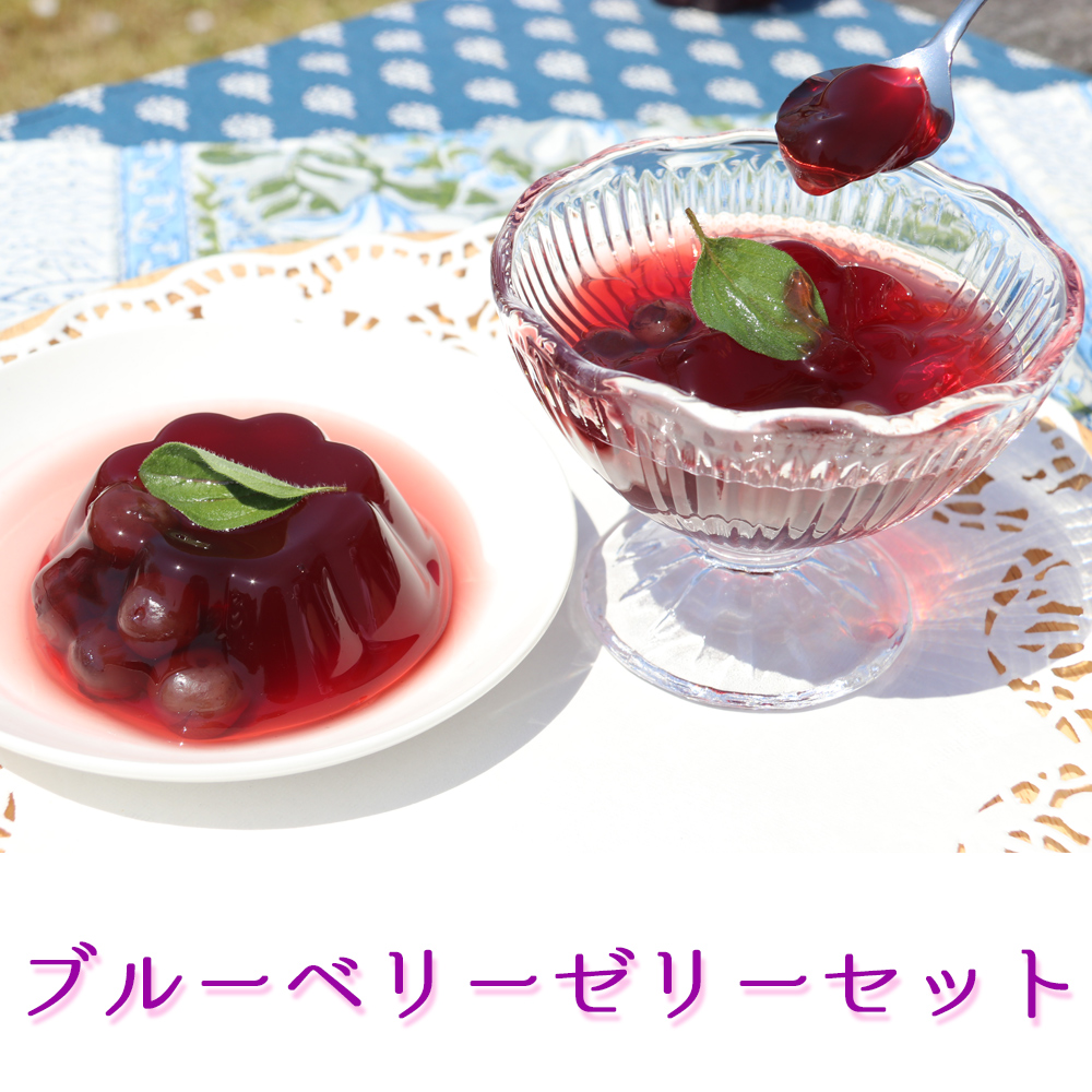 u[x[[[Zbg(90g×12)bu[x[ fU[g Mtg [[ [0229]{錧xJs9000ʕEt[c̑ ʕEt[c