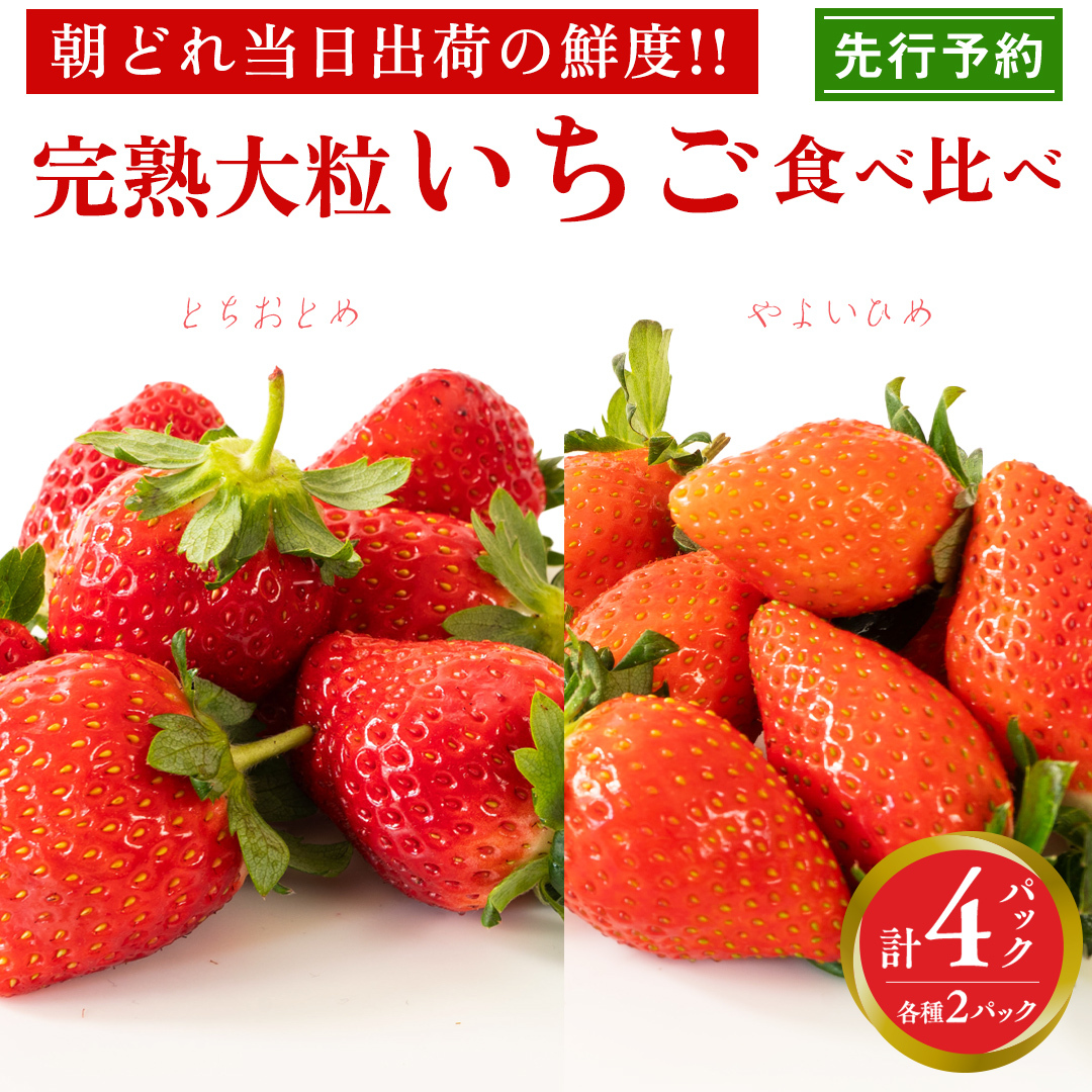 n 悢Ђ E ƂƂ Hה 4pbN s\ 嗱 C`S   t[c ʕ [AF006ci]錧}s14000ʕEt[c