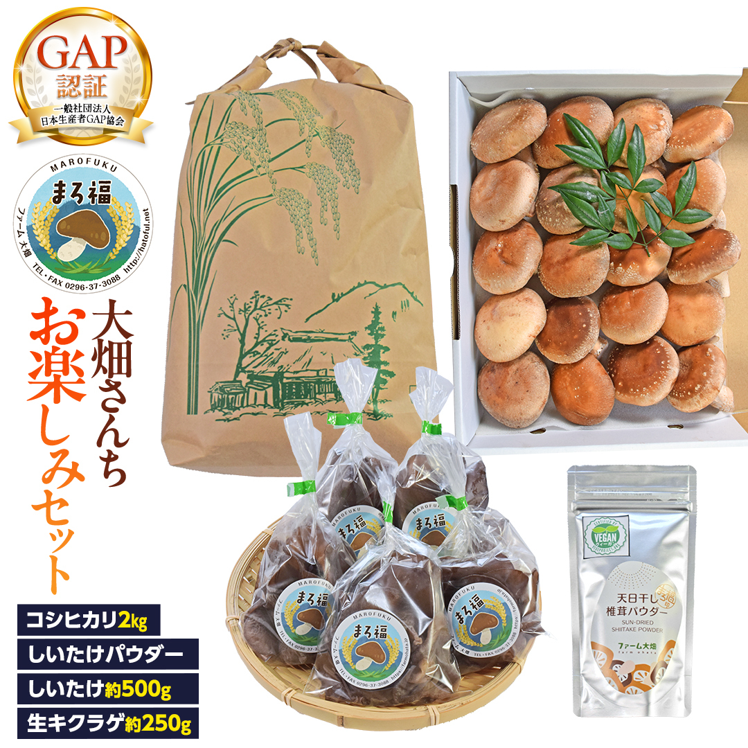 y t@[唨 zy݃Zbg   pE_[  ő ܂땟 炰 [AK001ci]錧}s21000؁Ê̑ 