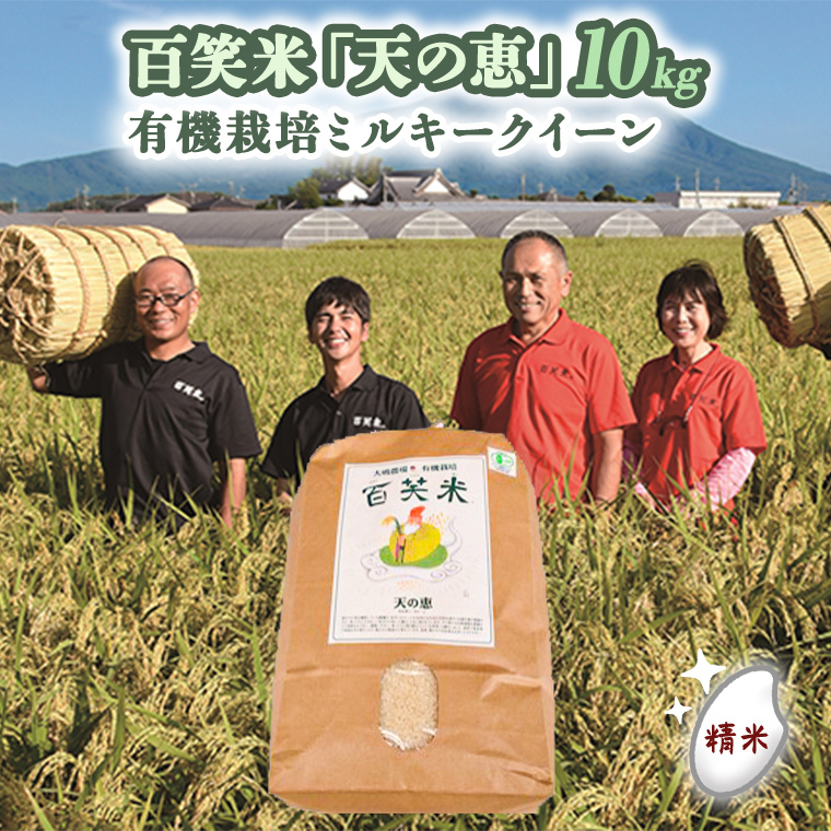  SΕ u V̌b v L@͔| ~L[NC[ 10kg R7NY  R 錧 P [AC010ci]錧}s50000āEp