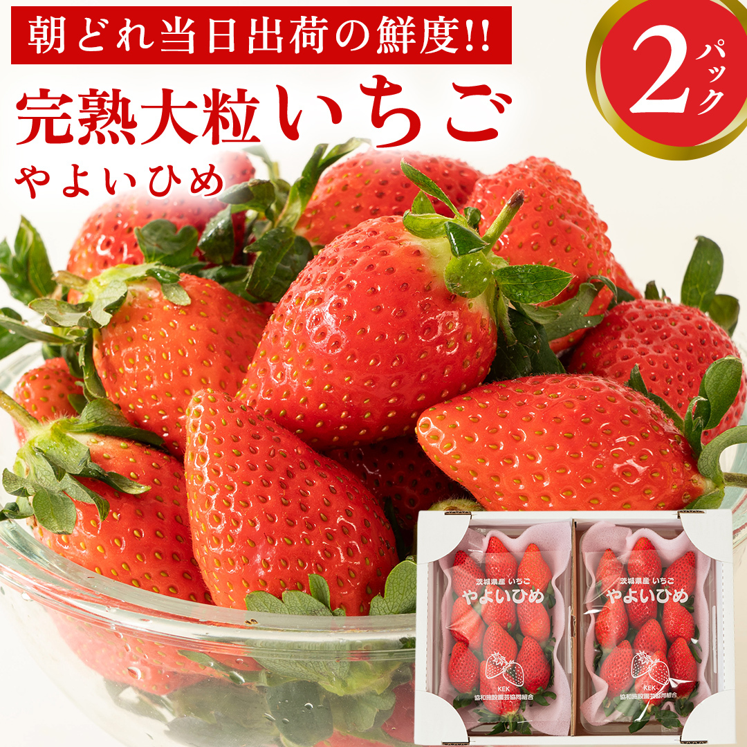 n 悢Ђ 2pbN s\ 嗱 C`S   t[c ʕ [AF058ci]錧}s8000ʕEt[c