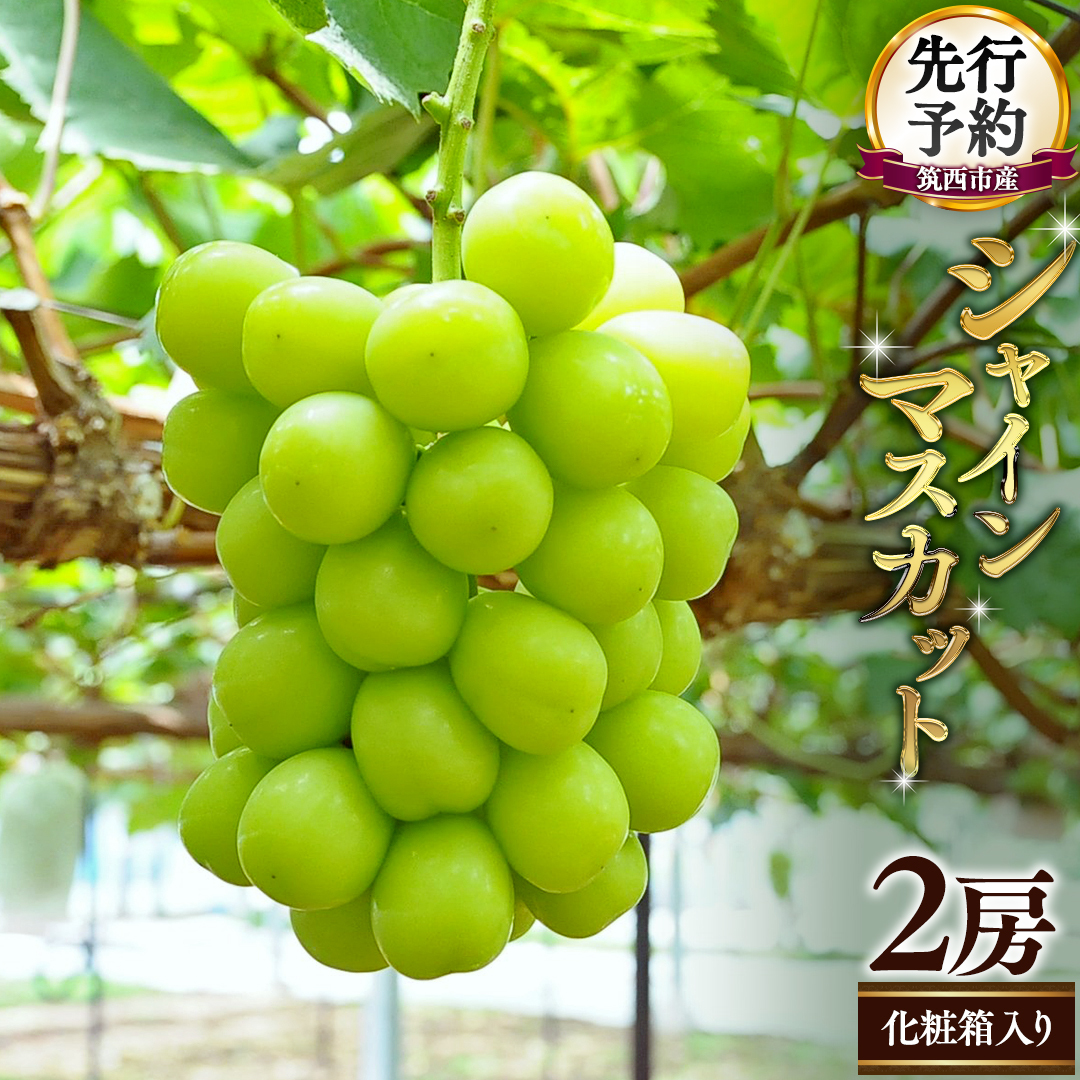 シャインマスカット 山梨県産 葡萄 2房×2房 ぶどう 山梨産 大特価 シャインマスカット 2房 (約1.2kg) 大房