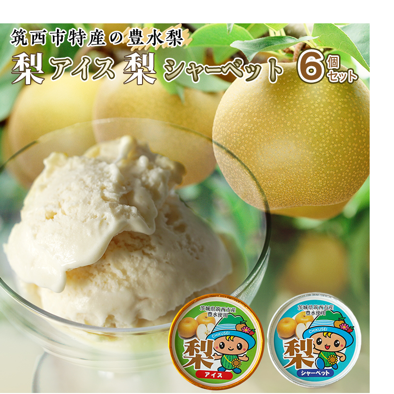 ACXEV[xbg Zbg lߍ킹 t[c [AJ029ci]錧}s12000EȋEi