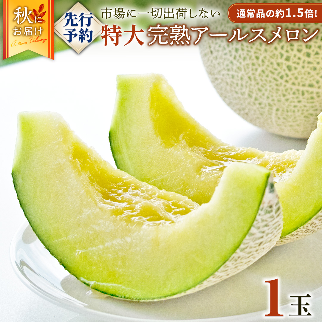 n  A[X P 2025NY s\  }XN  ʕ t[c 錧Y Ԍ ʌ [AF087ci]錧}s10000ʕEt[c