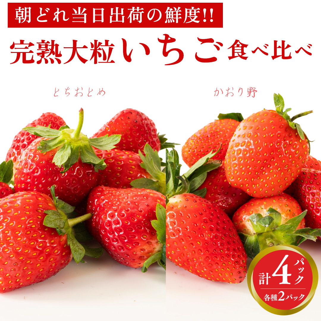 n  E ƂƂ Hה 4pbN s\ 嗱 C`S   t[c ʕ [AF088ci]錧}s14000ʕEt[c