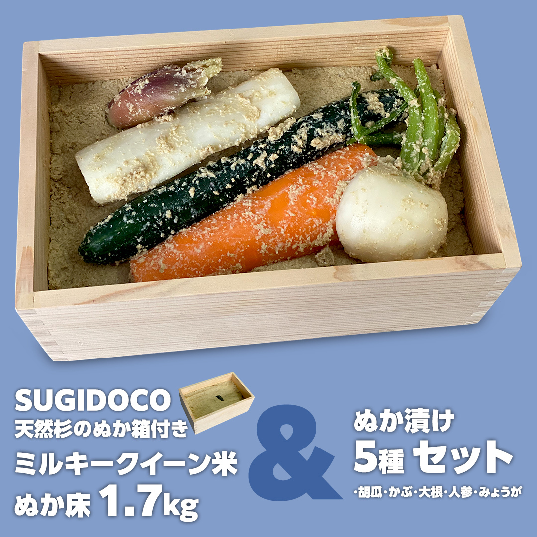 ~L[NB[ ʂ 1.7kg  ʂЂ5 Zbg ( SUGIDOCO et )   R  ~L[NC[ ʂЂ ʂ ʂǂ [BJ007ci]錧}s37000؁Ê̑ 