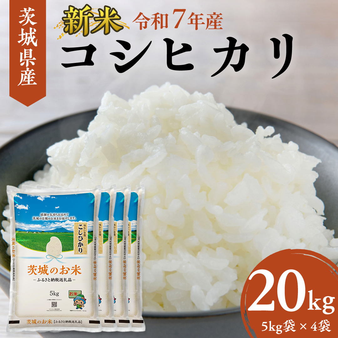 y ߘa7NY z 錧Y RVqJ 20kg ( 5kg × 4 )    R Ђ 錧  V  V [DK004ci]錧}s49000āEp