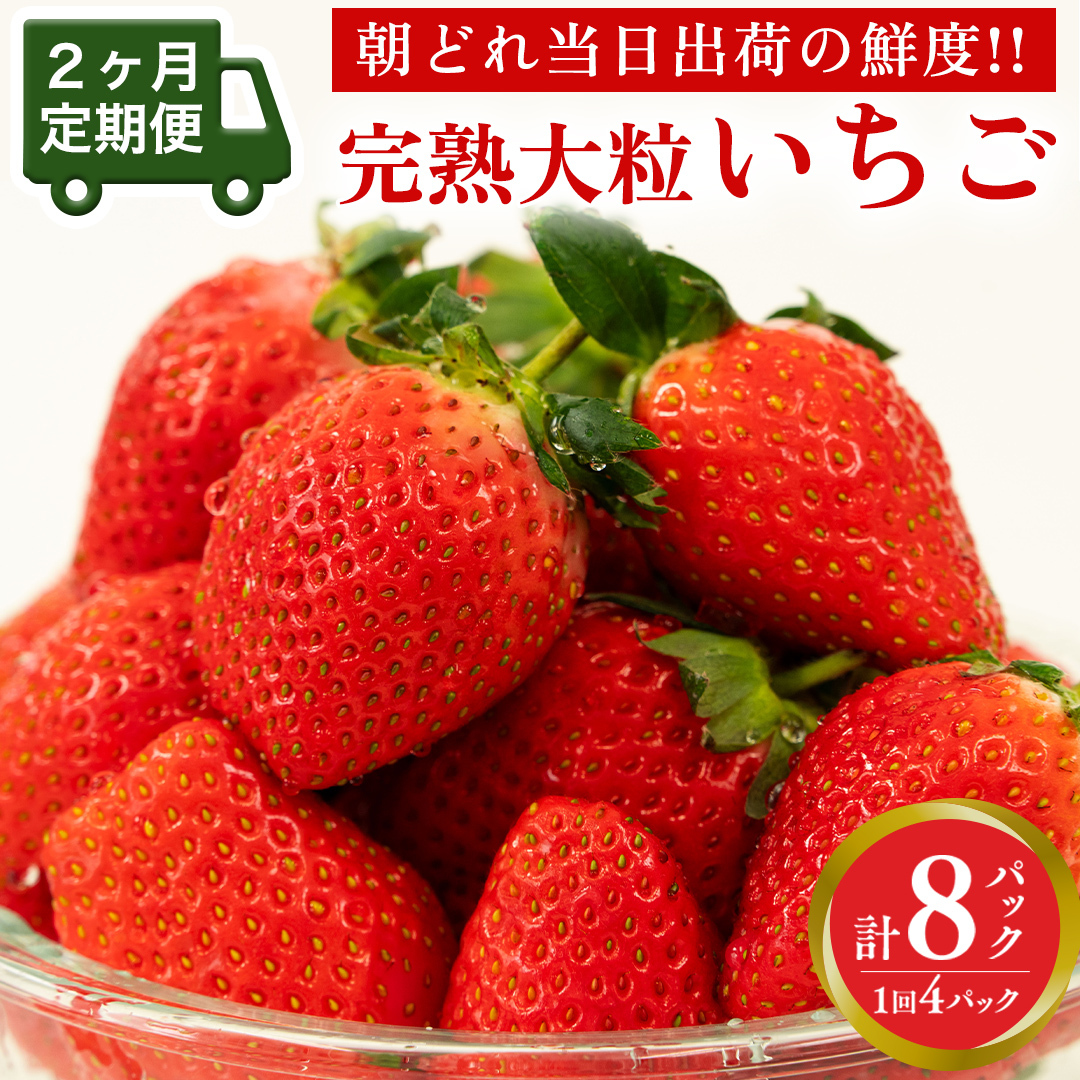 y 2  zn  4pbN ( 嗱 ) s\ 嗱 C`S  t[c ʕ  ƂƂ 悢Ђ [AF100ci]錧}s24000ʕEt[c