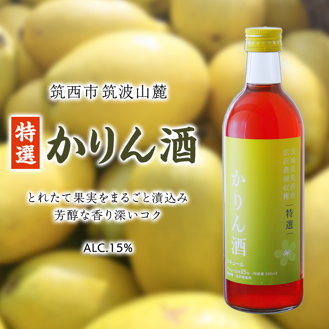 y I z  AR[ 15 i 500ml × 1{ j ʎ    [DP005ci]錧}s8000EAR[