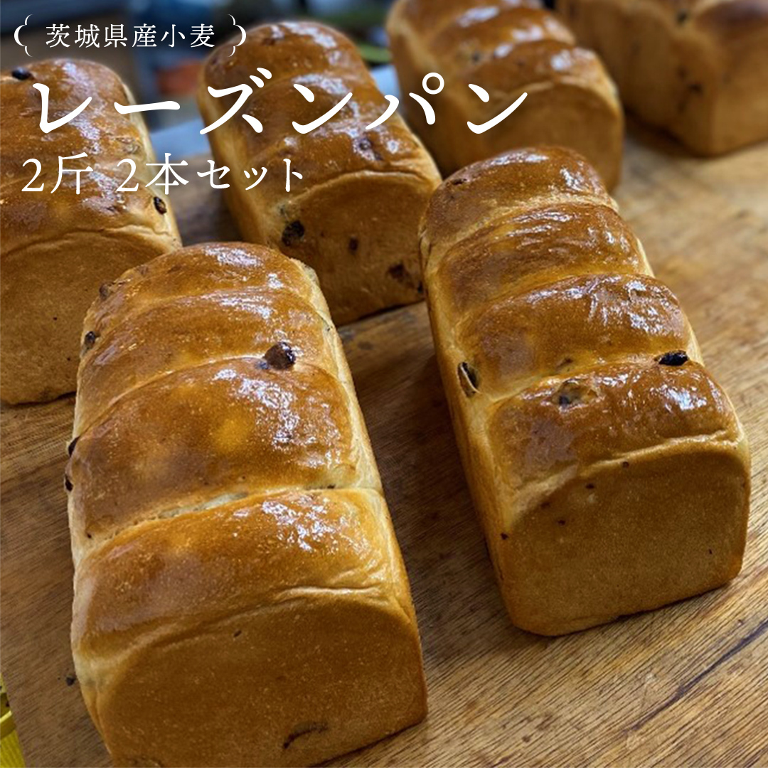 錧Y  [Yp 2 2{ Zbg Hp p  Ⓚ [Y v[g Mtg [AU007ci]錧}s10000āEpp