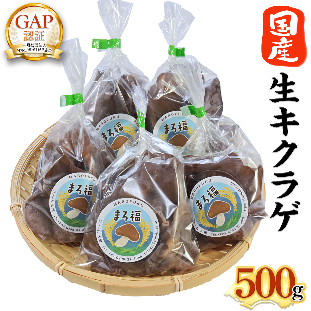y t@[唨 z LNQ 500g 炰 Y Y炰 GAPK  ₳ H@ r^~D S JE JVE XNuGbO J[  [AK006ci]錧}s9000