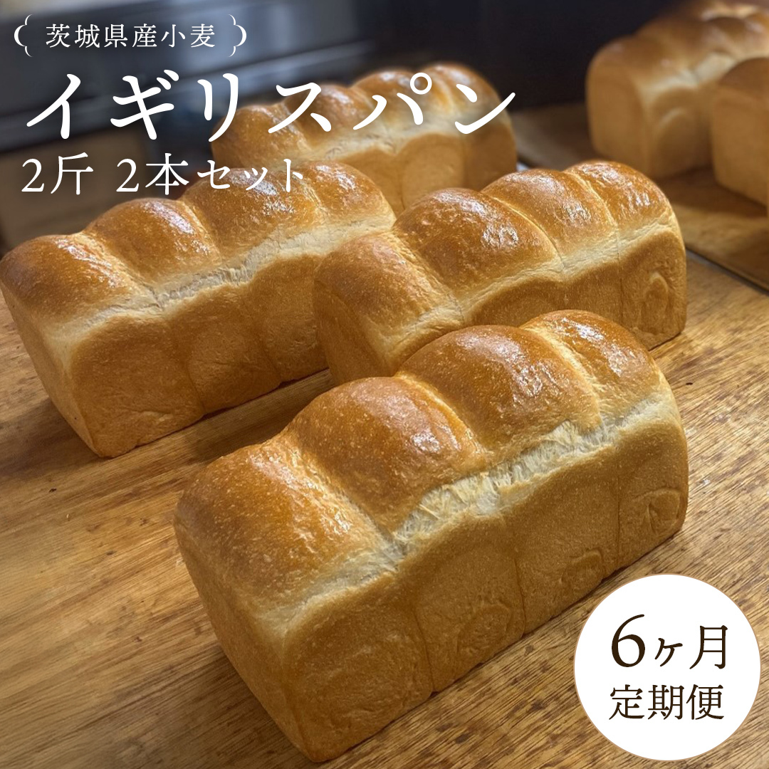 y 6  z錧Y  CMXp 2 2{ Zbg Hp p  Ⓚ v[g Mtg [AU019ci]錧}s47000āEpp