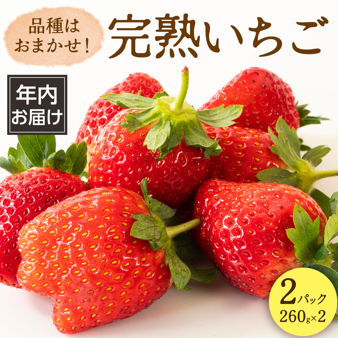 y N͂ z n  2pbN 嗱   C`S t[c ʕ [AF113ci]錧}s9000ʕEt[c