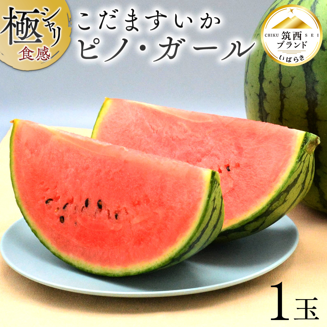 y JAk z ɃVH I ܂ u smEK[ v 1 2026NY ʂ   XCJ ʕ t[c smK[ Z  fU[g  [AE058ci]錧}s8