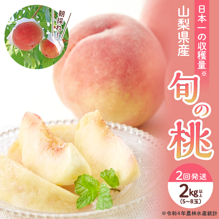 2024年発送 定期便】山梨県産 旬の桃2回発送 (白鳳2kg以上・白桃 2024年発送 定期便】山梨県産 旬の桃2回発送 (白鳳2kg以上・白桃