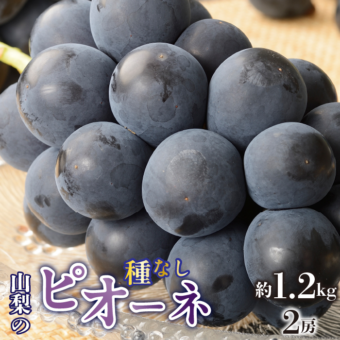 <2025年/令和7年発送先行予約>種無しピオーネ 約1.2kg 2房 SWAO001山梨県昭和町14000果物・フルーツマスカット・ぶどう