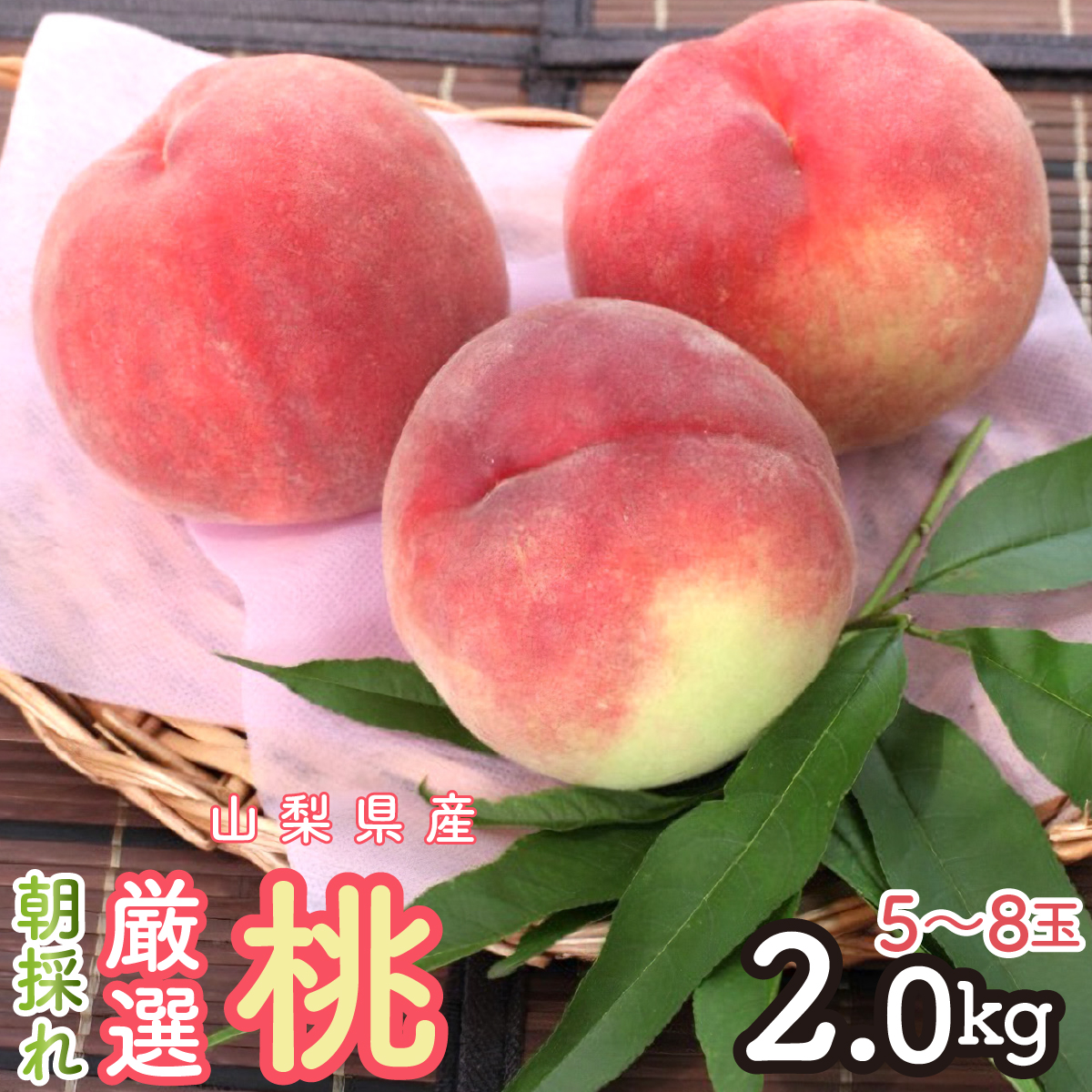 2026N ̂IIIRY 2K 5`8 SWCM001-2kgRa12000ʕEt[cE