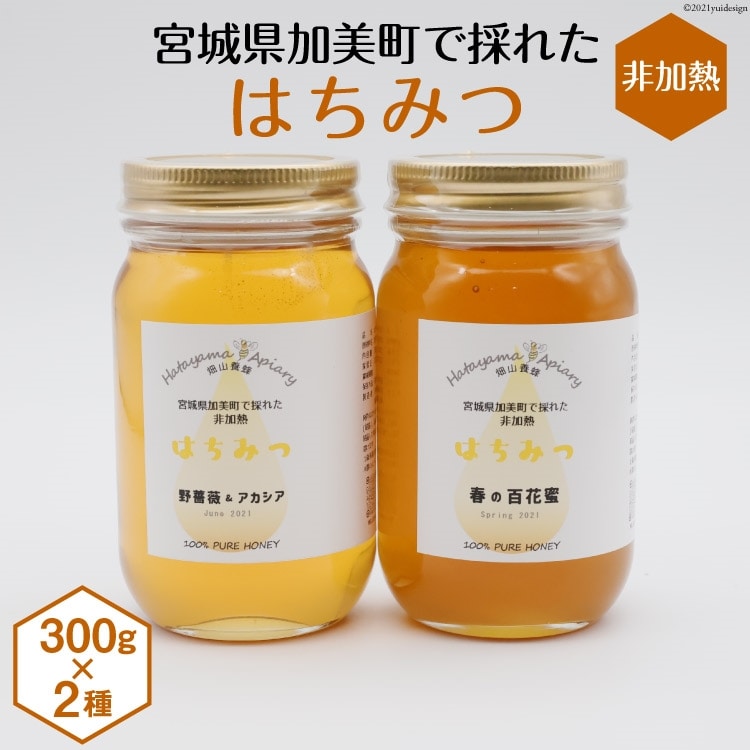 <季節の花とミツバチからの贈り物>非加熱はちみつ300g×2種セット《数量限定》<畑山養蜂>【宮城県加美町】宮城県加美町24000鍋セット・総菜・加工食品ジャム・はちみつ