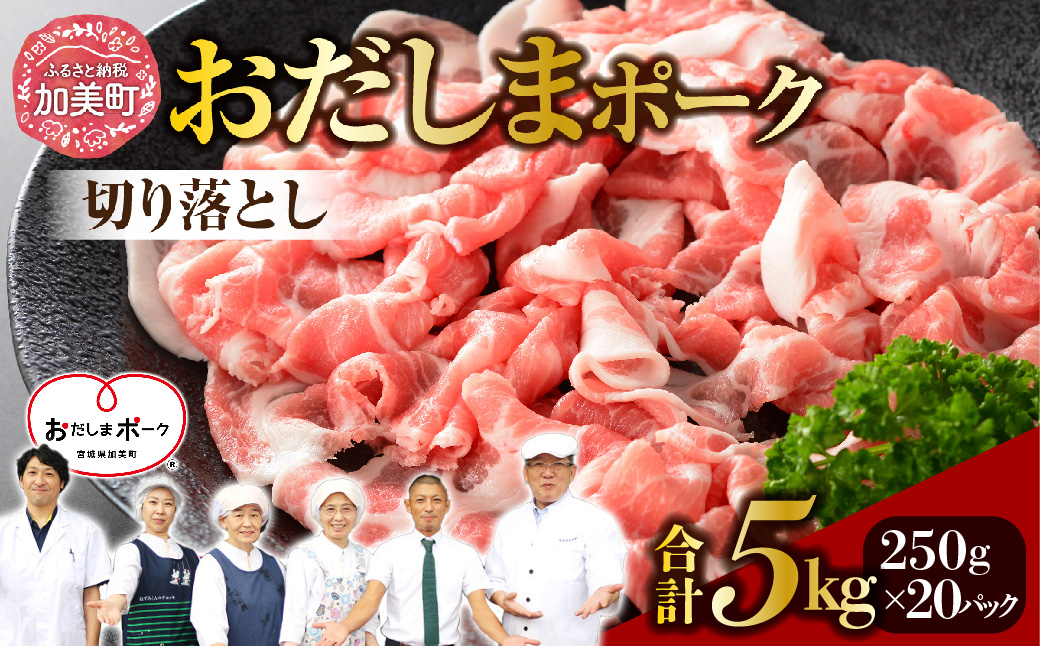 {錧Yuh ܃|[N ؂藎Ƃ 5kg 250g×20P [֐{Y {錧  ss-opko05] {錧43000ؓ