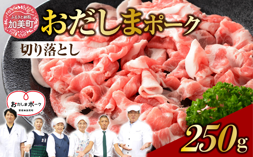 ؓ ܃|[N ؂藎Ƃ 250g [֐{Y {錧  ss-opko250]  Y Ⓚ  Ԑ؂ {錧Y uh؋{錧5500ؓ