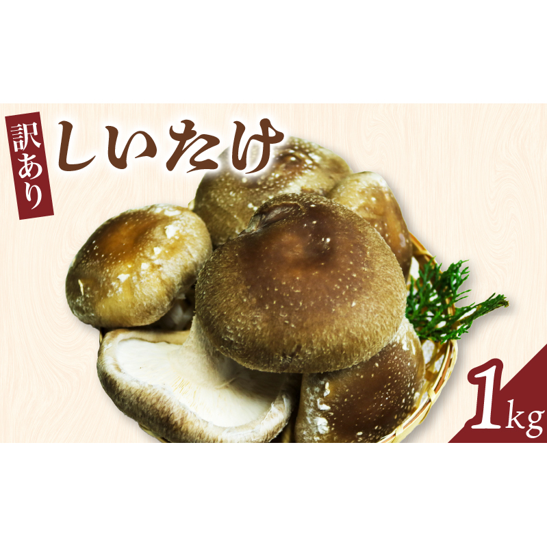 【訳あり】しいたけ1kg京都府京田辺市8000野菜・きのこきのこ