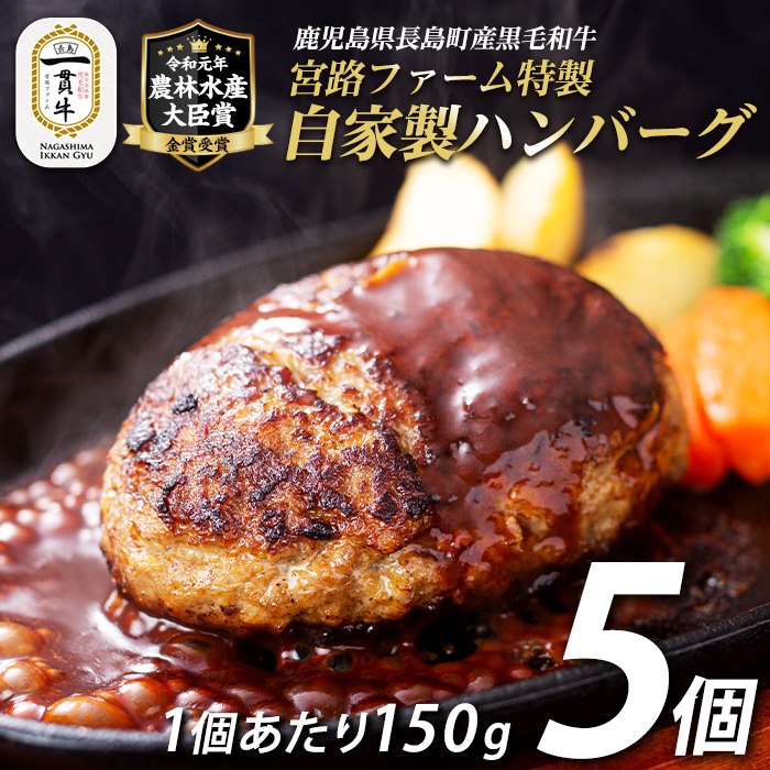 宮路ファームの自家製ハンバーグ5個 _f-miyaji-1209-5鹿児島県長島町11000肉牛肉