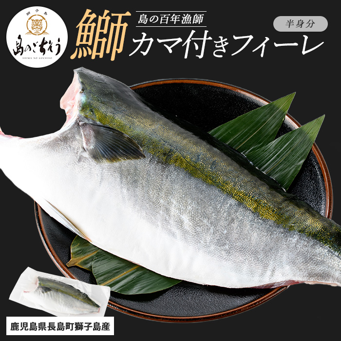 【先行予約】獅子島産 百年漁師の鰤 カマ付きフィーレ1パック (半身分) 【島のごちそう】_gochi-1314鹿児島県長島町20000魚介・海産物