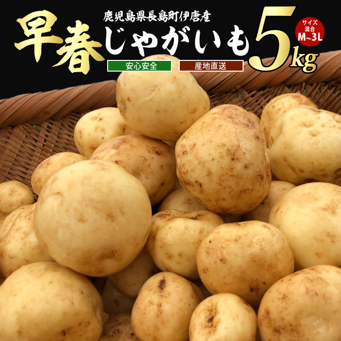 【先行予約】<数量・期間限定>ホックホク甘さがある伊唐産早春じゃがいも(約5kg)【旬感foods】_horino-867鹿児島県長島町8000野菜・きのこじゃがいも・イモ類