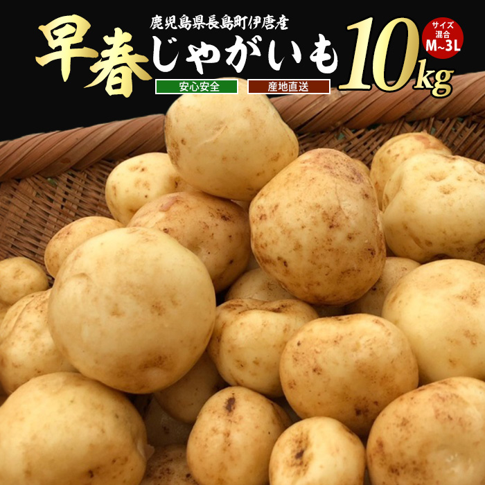 【先行予約】<数量・期間限定>ホックホク甘さがある伊唐産早春じゃがいも(約10kg)【旬感foods】_horino-868鹿児島県長島町12000野菜・きのこじゃがいも・イモ類