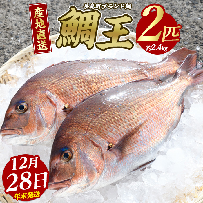 【2025年12月28日発送】長島町特産「鯛王」(2匹・約2.4kg) 産地直送 新鮮 旨味が抜群の 長島町 特産品 ブランド 真鯛 をまるごと 一匹 楽しめる 刺身 鯛めし 鯛茶漬け 鯛しゃぶ 鯛刺身 鮮魚 冷蔵