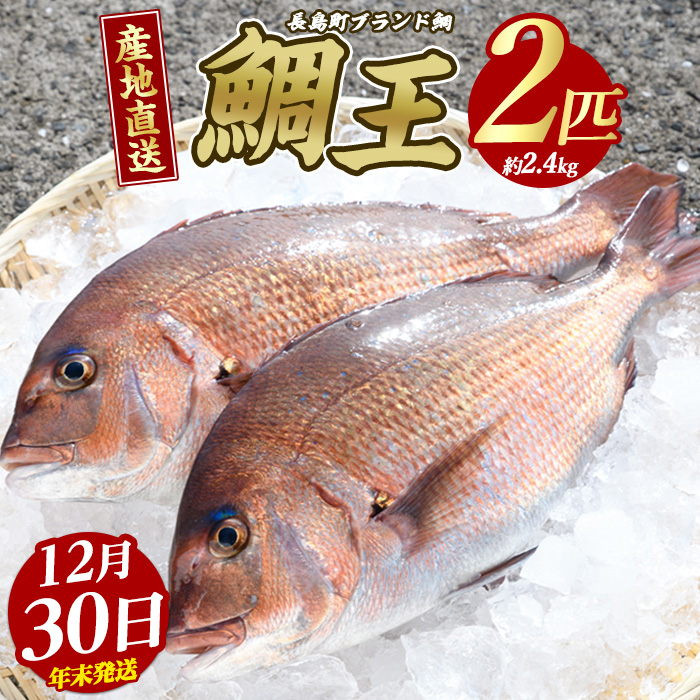 【2025年12月30日発送】長島町特産「鯛王」(2匹・約2.4kg) 産地直送 新鮮 旨味が抜群の 長島町 特産品 ブランド 真鯛 をまるごと 一匹 楽しめる 刺身 鯛めし 鯛茶漬け 鯛しゃぶ 鯛刺身 鮮魚 冷蔵