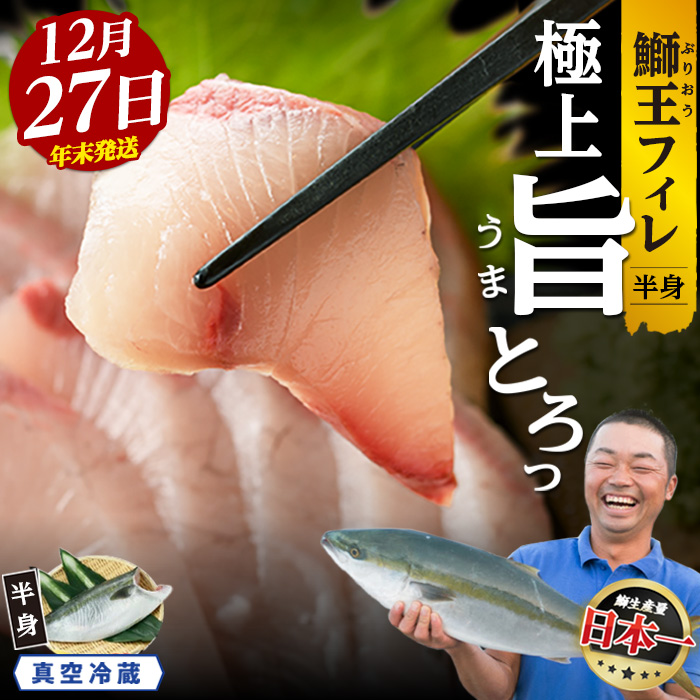 <数量限定>【2025年12月27日発送】『旅サラダ』で紹介ぶりの王様「 鰤王 」 フィレ 半身 (約1.2kg〜・フィレ1枚) 産地直送 新鮮 旨味が抜群の 長島町 特産品 ブランド ぶり 鰤 ブリ 切り身 真