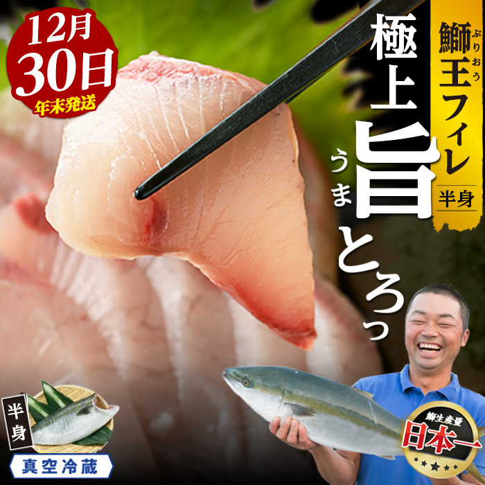 <数量限定>【2025年12月30日発送】『旅サラダ』で紹介ぶりの王様「 鰤王 」 フィレ 半身 (約1..2kg〜・フィレ1枚) 産地直送 新鮮 旨味が抜群の 長島町 特産品 ブランド ぶり 鰤 ブリ 切り身 真