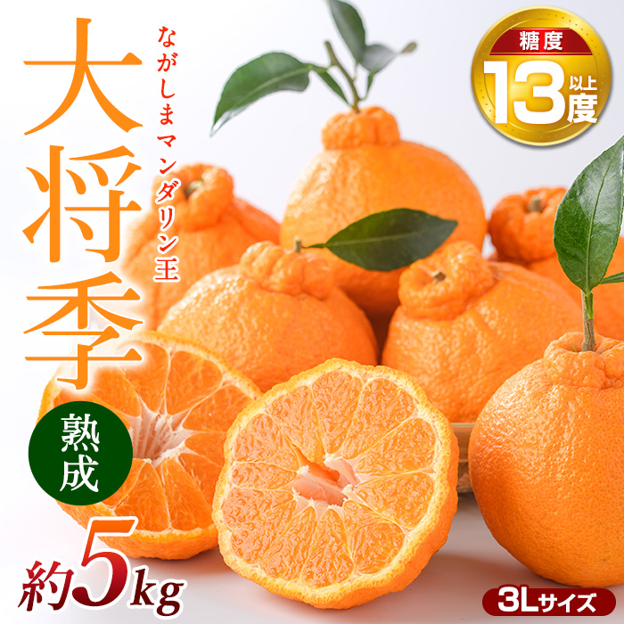 【先行予約】熟成 ながしまマンダリン王(大将季) 約5kg【ながしまマンダリングループ】_mandarin-1505鹿児島県長島町26000果物・フルーツ