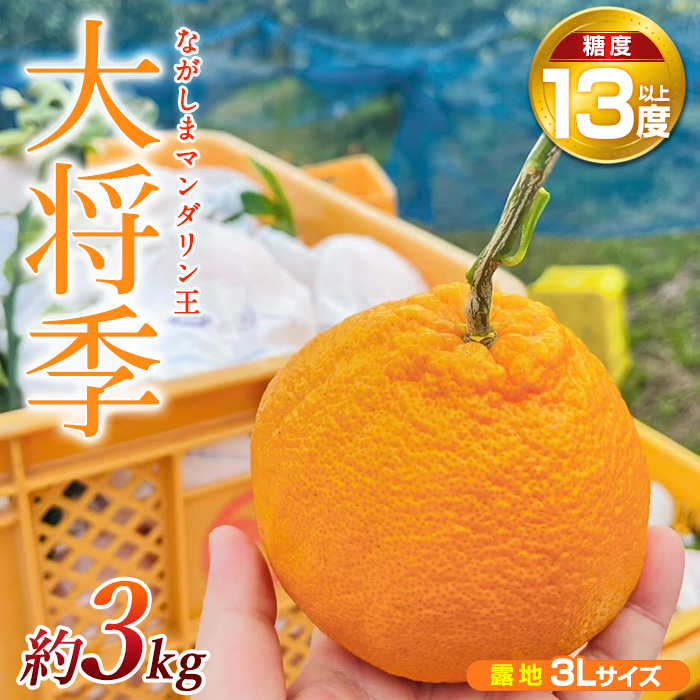 【先行予約】ながしまマンダリン王【露地】(大将季) 約3kg【ながしまマンダリングループ】_mandarin-1263-R7鹿児島県長島町14000果物・フルーツみかん・柑橘類