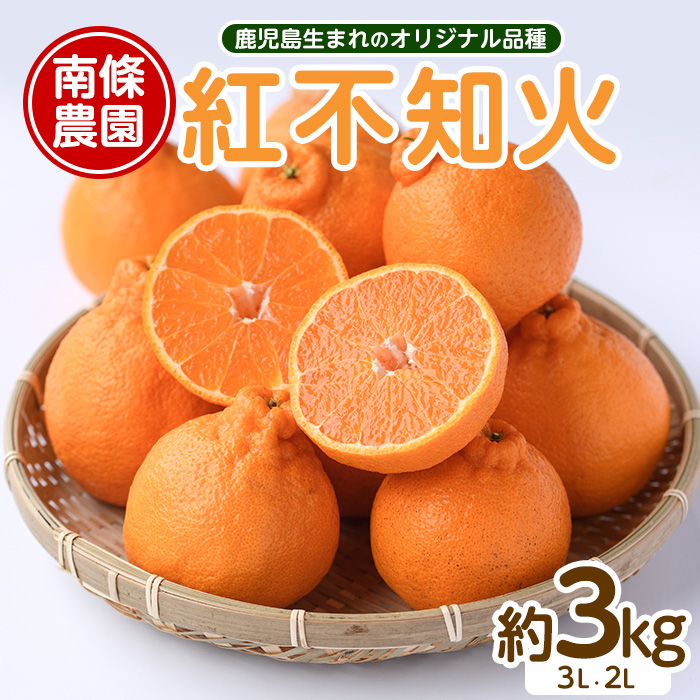 【先行予約】紅 不知火 (3L・2L) 約3kg しらぬい みかん ミカン 蜜柑 柑橘 果物 くだもの フルーツ 【南條農園】_nannjyo-1440鹿児島県長島町15000果物・フルーツ