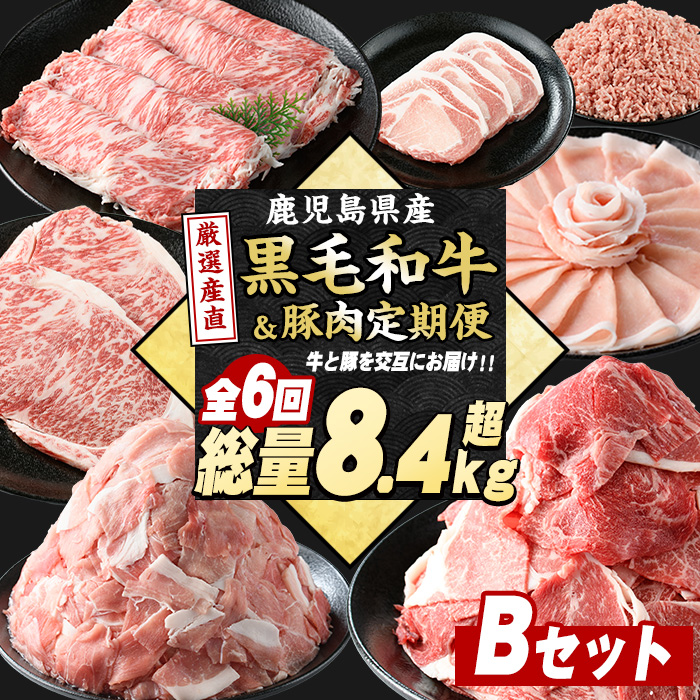 <定期便全6回>黒毛和牛&豚肉定期便 総重量8.4kg超 赤身 ロース 豚 ミンチ ロースかつ 豚肉 牛肉 切り落とし サーロイン 豚ロース しゃぶしゃぶ すき焼き 【スターゼン】_starzen-1535鹿児島県