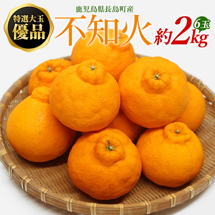 【先行予約】特選大玉 優品不知火6玉入り約2kg【山上農園】_yamagami-772R7鹿児島県長島町12000果物・フルーツ