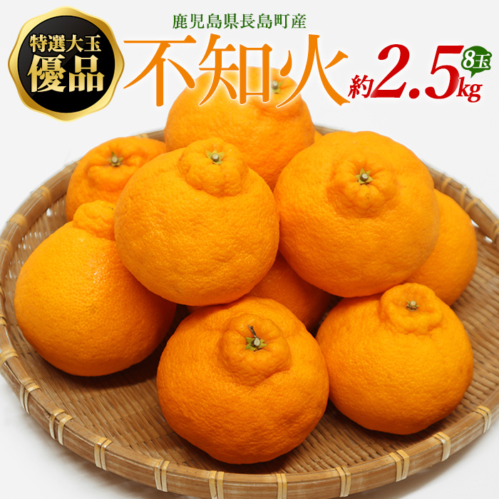 【先行予約】特選大玉 優品不知火 8玉入り約2.5kg【山上農園】_yamagami-773R7鹿児島県長島町14000果物・フルーツ