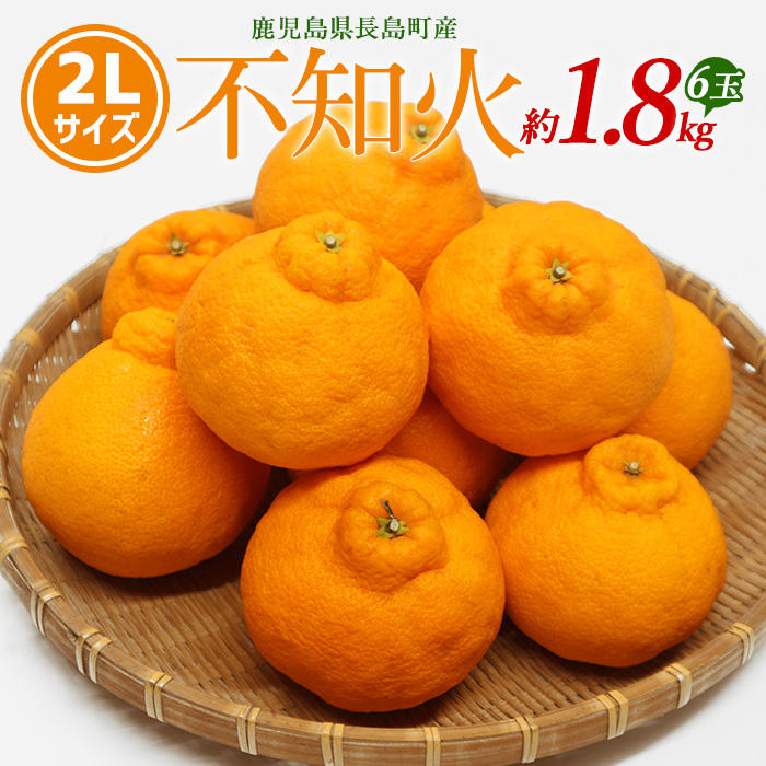 【先行予約】不知火 2Lサイズ 6玉入り約1.8kg【山上農園】_yamagami-774R7鹿児島県長島町11000果物・フルーツ