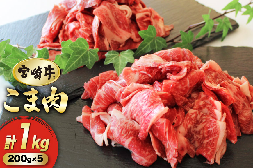  {苍 Ԑ؂ 200g 5p v1kg [}~XgA {茧  31ag0108]  Y јa  a BBQ{茧21000